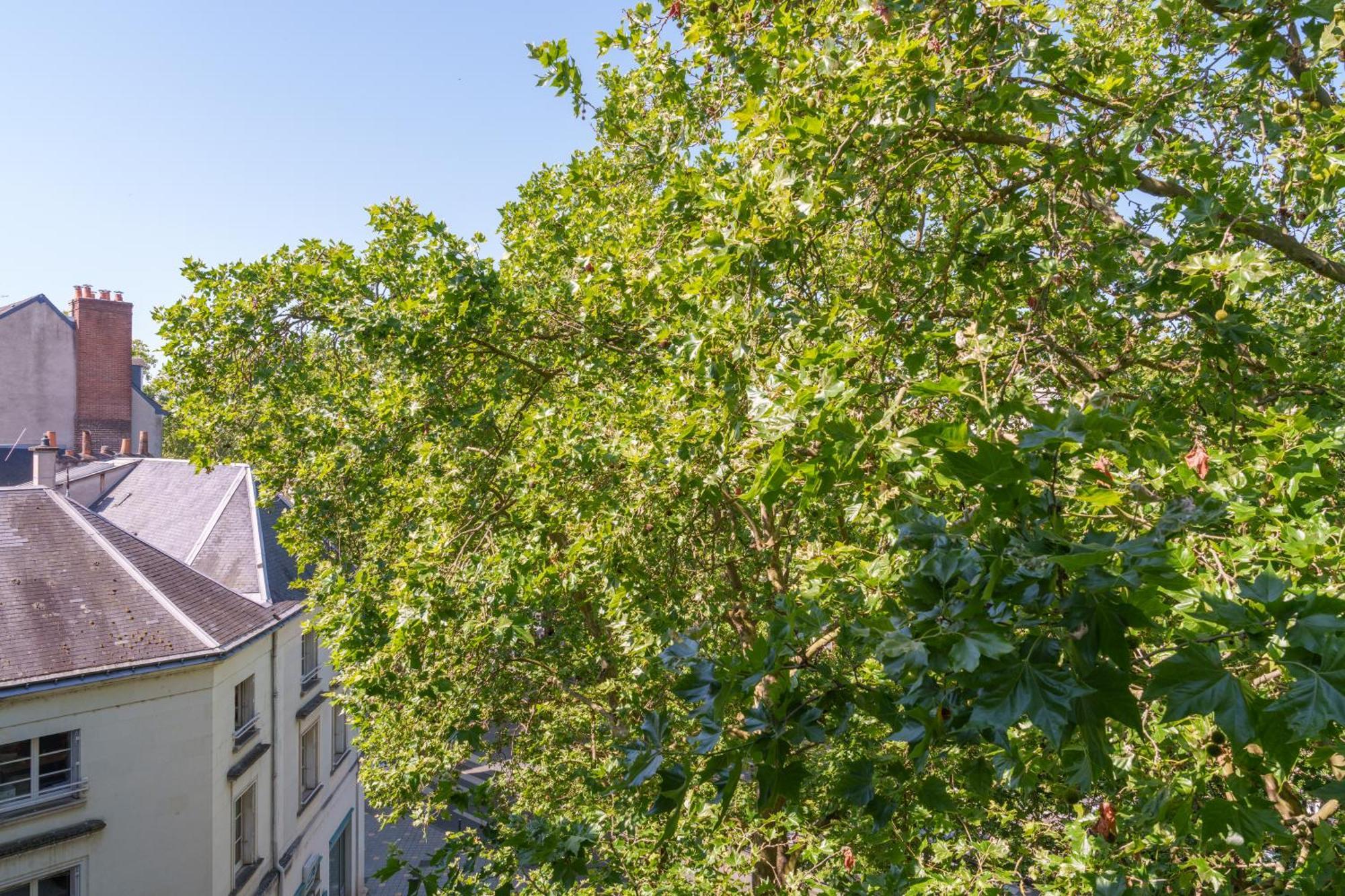 Appartement Tours Centre Avec Parking 4 P Exterior photo